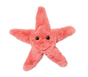 Coral Starfish