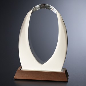 Cortina Award 12-1/2"