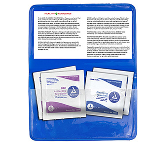 "Crescent" Antiseptic & Disinfectant Wipes Pack In Translucent Vinyl pouch