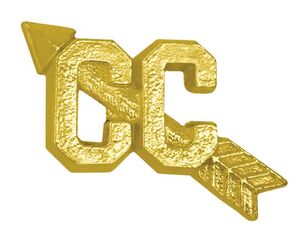 Cross Country Chenille Lapel Pin