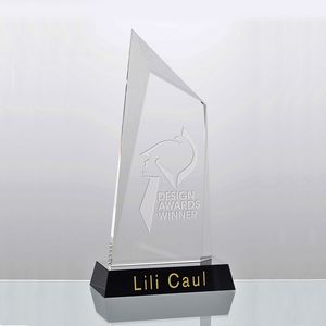 Crystal Summit Optical Award