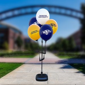 Custom Reusable Balloon Cluster Kit w/Water Base