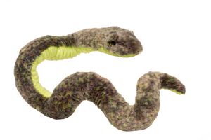 Cyril Snake