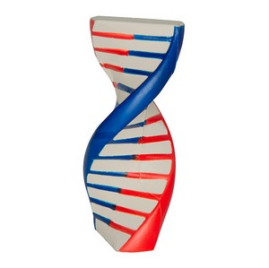 DNA SqueeziesÂ® Stress Reliever