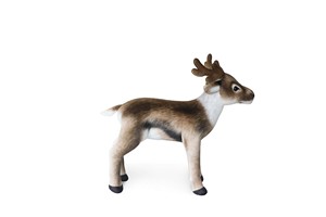 Dark Brown Deer