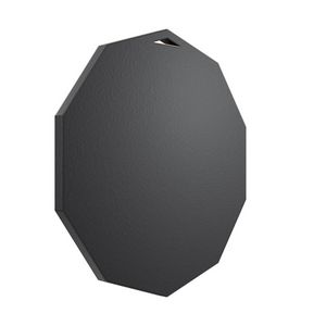 Decagon Insert Medallion (2")