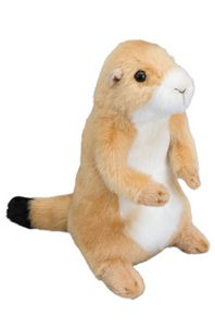 Digger Prairie Dog