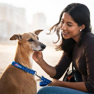 Digitally Sublimated Pet Collar