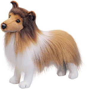 Dixie Sheltie