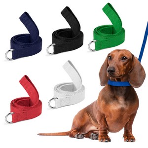 Dog Leash (QuickShip) 5-6 Weeks