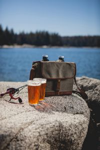 Double Growler Tote