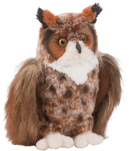 Einstein Great Horned Owl