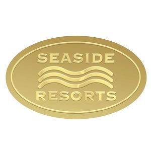 Embossed Foil Seal | Oval | 1 1/2" x 2 5/8"