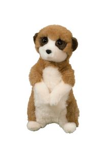 Enzo Meerkat