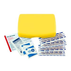 Express First Aid Kit With Non Aspirin Pain Reliever