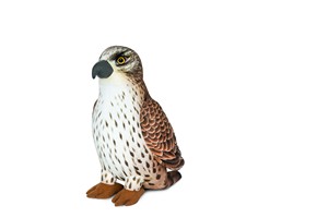 Falcon