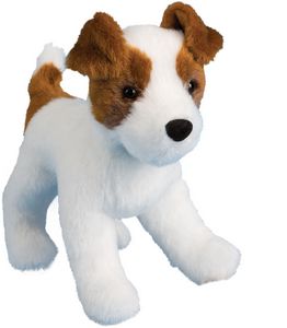 Feisty Jack Russell