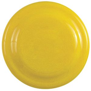 Fetch! - 7" Dog Safe Flyer