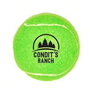 Fido's Dog Ball