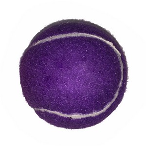 Fido's Dog Ball