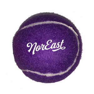 Fido's Dog Ball