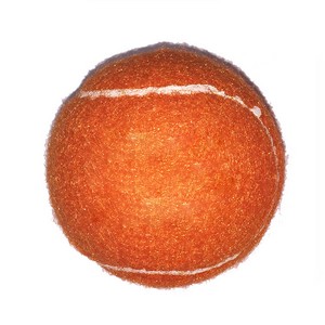 Fido's Dog Ball