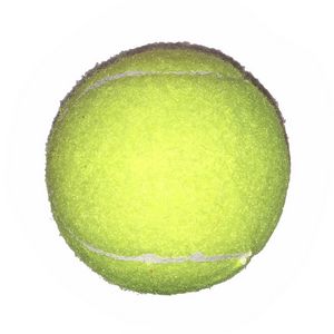 Fido's Dog Ball