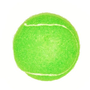 Fido's Dog Ball