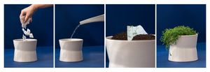 Flower Seed Paper Sock Header Card