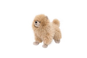 Fluffy Dog