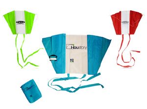 Folding Eagle Kite w/Pouch