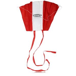 Folding Eagle Kite w/Pouch