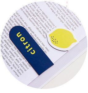 Folding Magnetic Bookmark