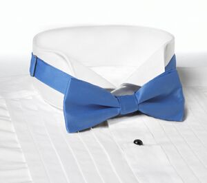 French Blue Banded Bow Tie