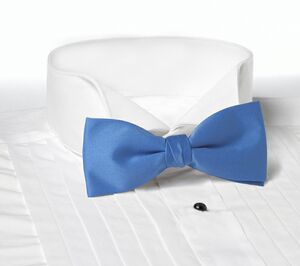 French Blue Clip-On Bow Tie