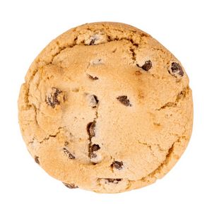 Fresh Beginnings Chocolate Chip Gourmet Cookie Tin
