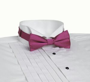 Fuchsia Banded Bow Tie