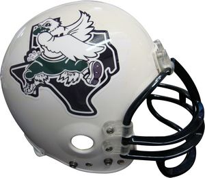 Full Color Helmet Side Decal