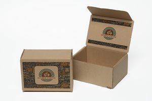 Full Color Natural Brown Display Mailer Box 8" x 6" x 4"