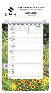 Full-Color Weekly Memo