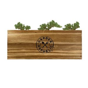 Garden Republic - Bonsai Tree Starter Kit