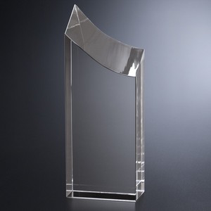 Geneva Award 8"
