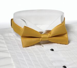 Gold Banded Bow Tie