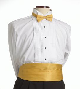 Gold Cummerbund