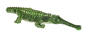 Green Long Nose Alligator