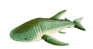 Green Spotted Shark