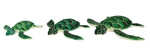 Green Turtle 3 sizes