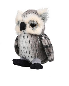 Grey Owl