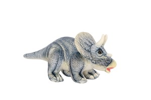 Grey Triceratops