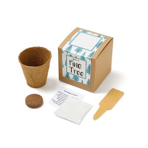 Growables Planter in Kraft Gift Box (Pine Tree)